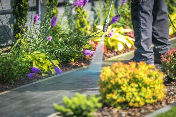 Best Gutter Cleaning  in Payson, IL