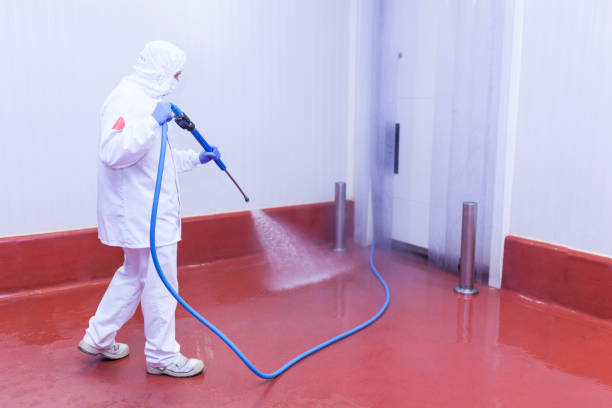 Best Factory Floor Cleaning  in Payson, IL